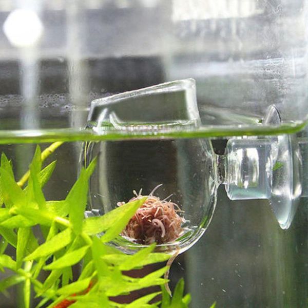 

decorations pot plant cup holder red shrimp aquarium fish tank aquatic