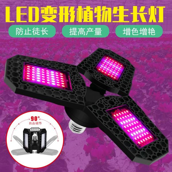 

transformed plant growth lamp 40w-60w-80w red and blue light grow lights