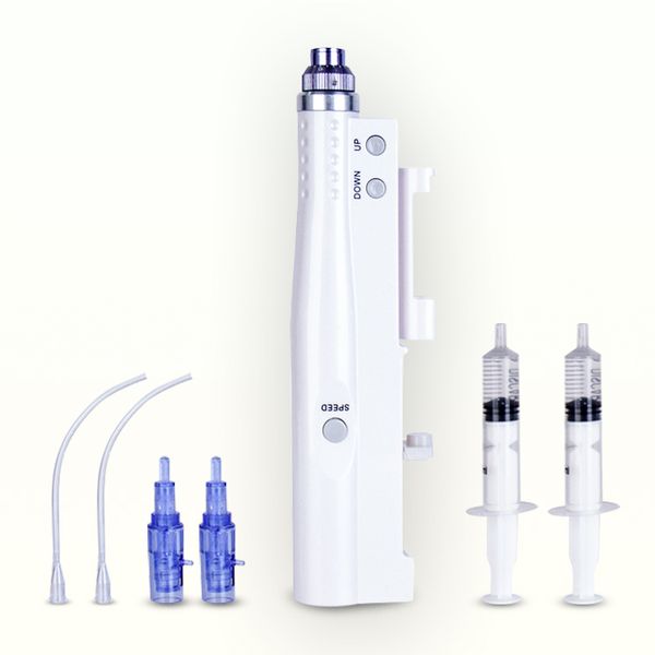 Mini 2 in 1 Mikronedling Injector Water Light Nano Electric Mesotherapie Micro-Nadel-Instrument Schönheitsausrüstung für Hautverjüngung