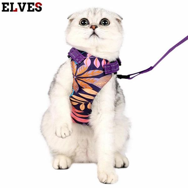 

cat collars & leads zl 2021 est reflective sling traction rope double disc anti-strike hawaiian wind sliding durable cute