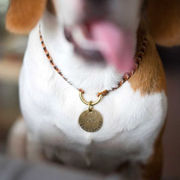 

white pig shop x small tail hand woven wax thread brass dog brand necklace collar