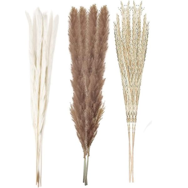

novelty items tall white grass decoration total 60 pieces of natural plants home bouquet props family wedding
