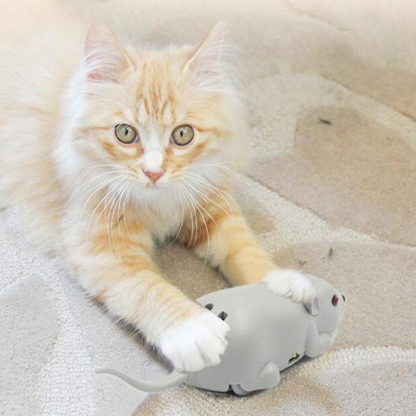 

[mpk store] catch me if you can super fun cat toy,usb rechargeable battery, watch our video to know more toys