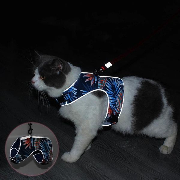 

cat collars & leads reflective outdoor pet dog harness and leash set adjustable puppy kitten for small medium cats accessori