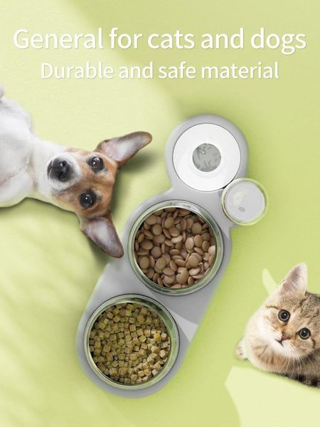 

cat bowls & feeders automatic pet bowl feeder dog with water fountain double bow