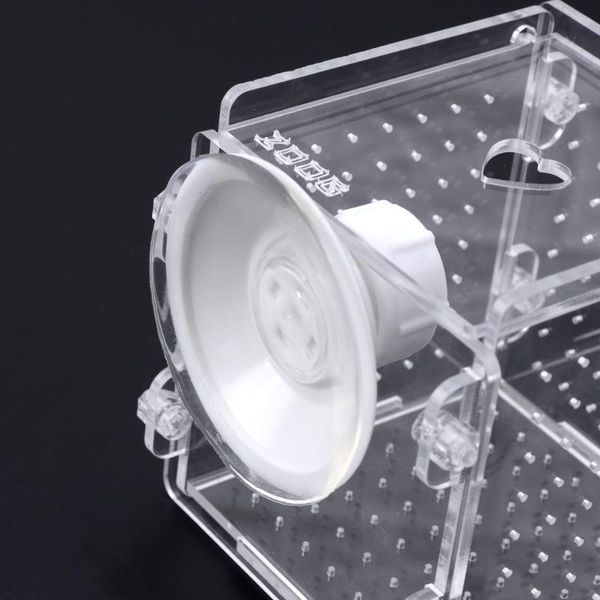

aquarium fish breeding isolation box tank incubator breeder for baby pet supplies aquariums