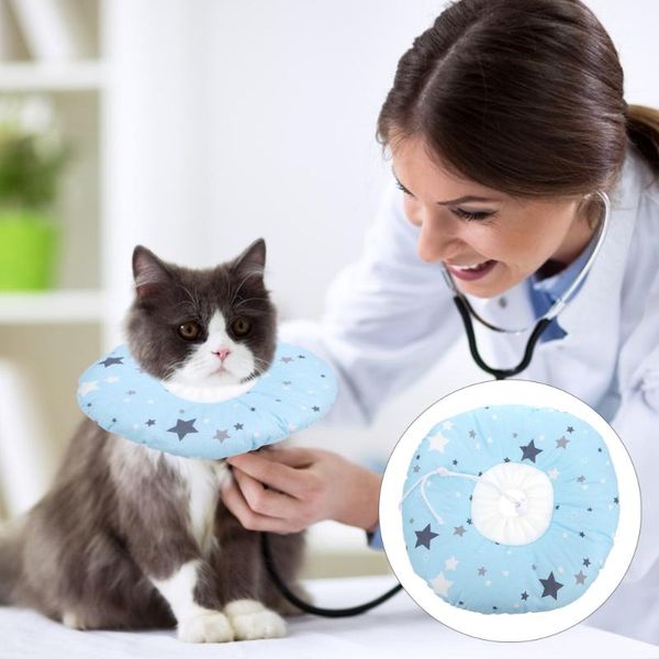 

cat collars & leads recovery cone elizabethan collar protective wound healing