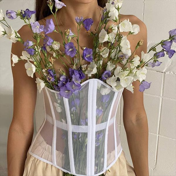 

mesh corset wide waist cummerbunds women cami elastic bodycon fashion striped belts ladies clothing accesoories, White