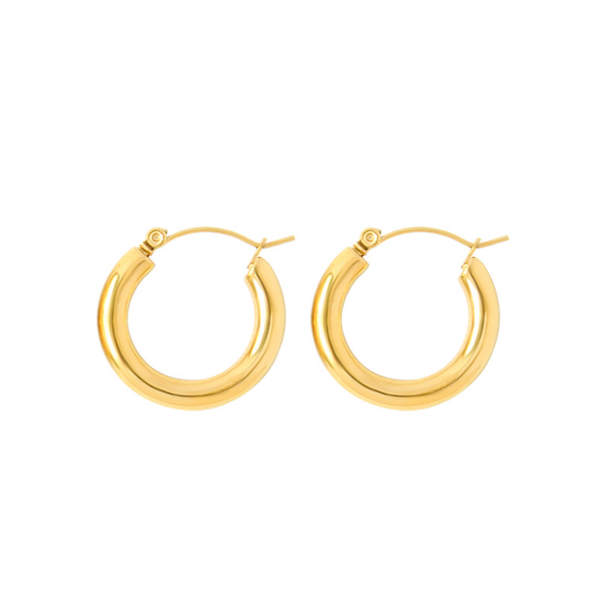 

hoop & huggie 2, Golden;silver