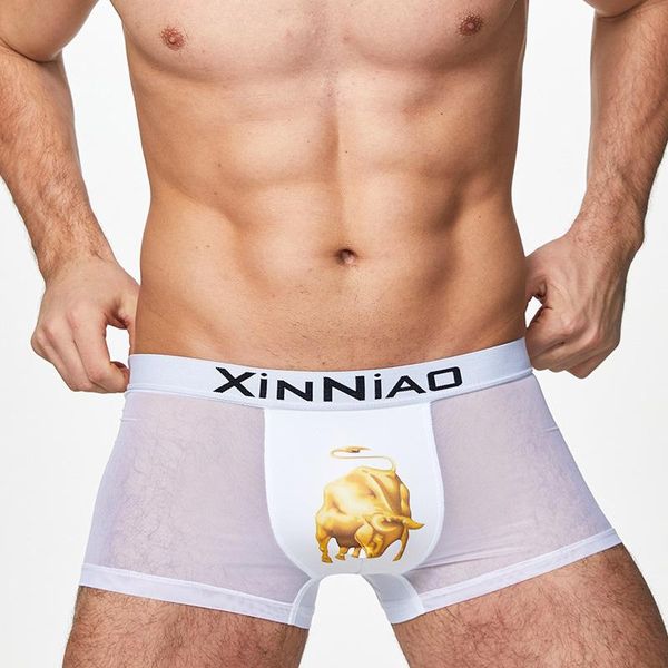 

underpants 2021 lce silk underwear men's nylon breathable thin section ox head sassy youth transparent, Black;white