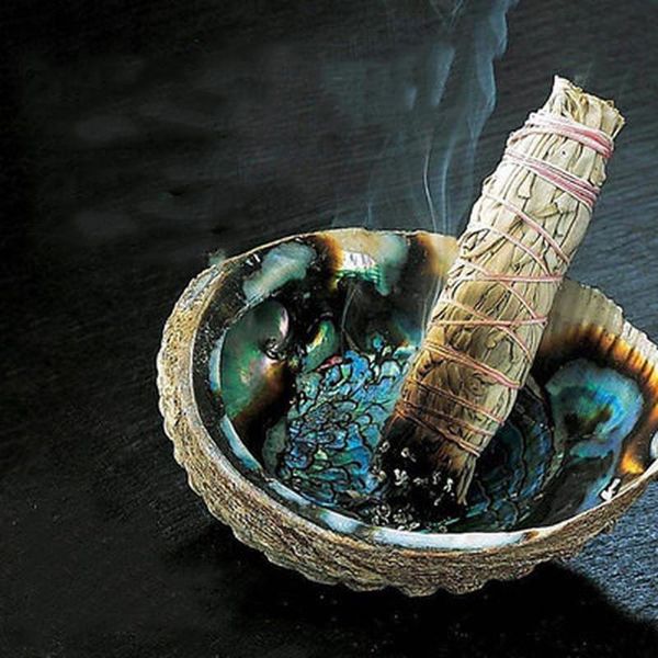 

fragrance lamps 6/12/16 pcs genuine white pure leaf plant for room purification smoke healty backflow incense