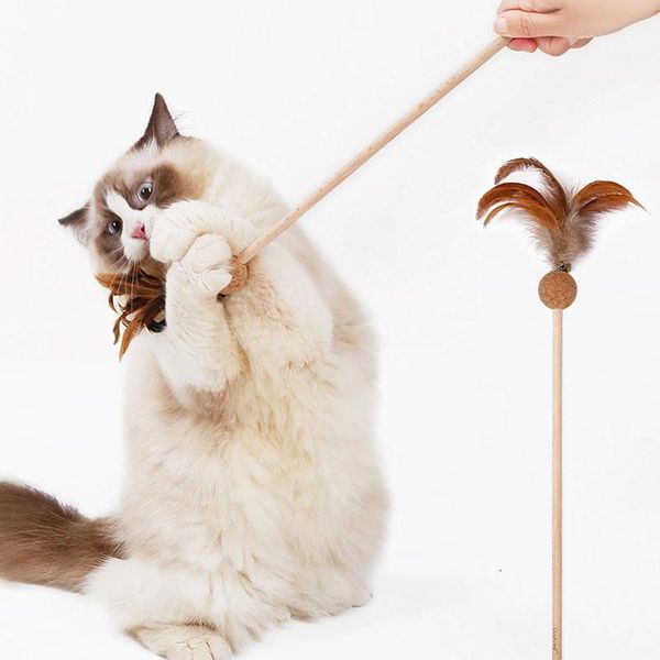 

cat toys interactive toy natural teaser dangler feather wood wand with catnip cock for pet cats kittens chats products gato