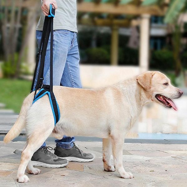 

dog collars & leashes lift harness for back leg adjustable pet support sling help weak legs stand up puppy doggy chien aid assist tool acces