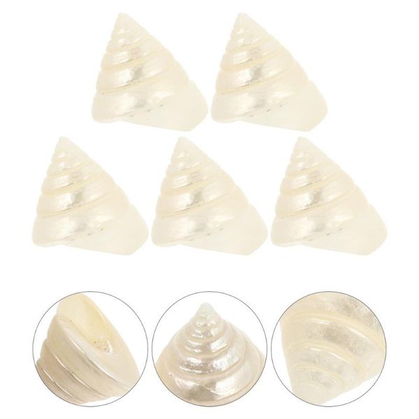 

novelty items 5 pcs aquarium conch decor natural sea snail fish tank ornament