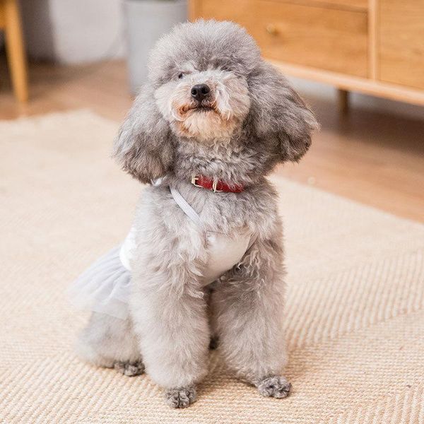 

dog apparel spring and summer leisure styles pet clothing comfortable breathable fashion cute slip dress teddy bichon small