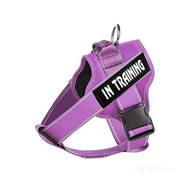 

dog collars & leashes the pet leash, chest strap, medium-sized chain, outdoor leash