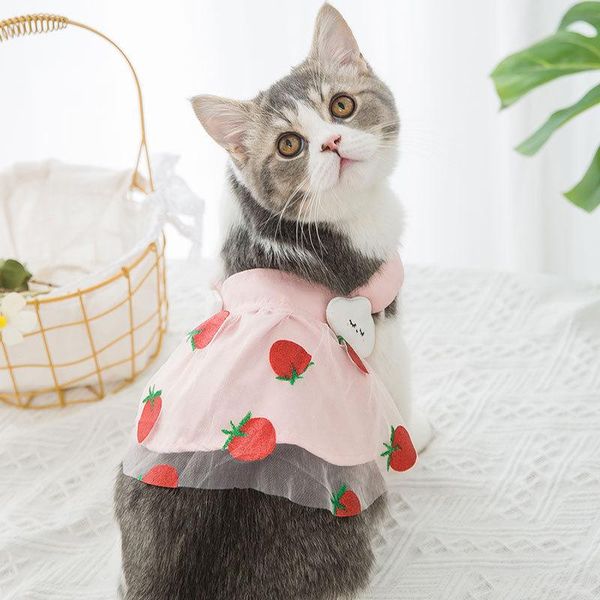 

pet spring and summer strawberry princess gauze skirt dog thin sweet cute dress than bear small cat clothes costumes