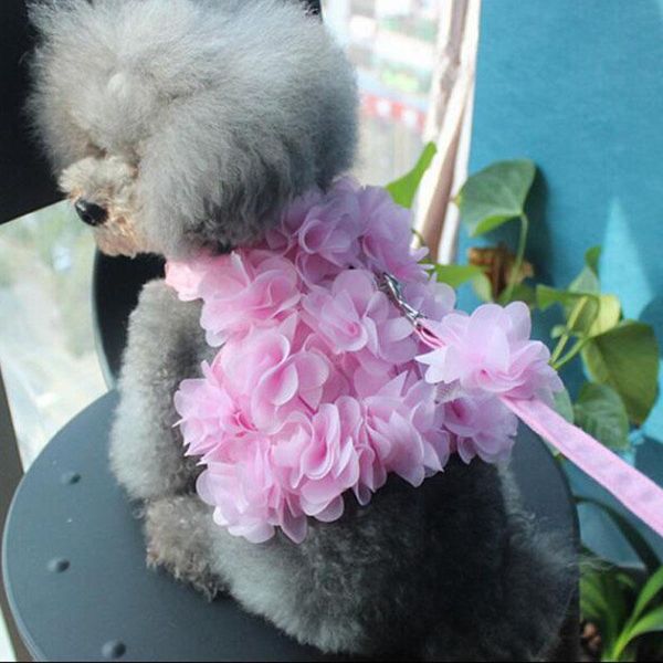 

dog collars & leashes floral harness set s m l xl vest with nylon leash for small medium dogs breathable puppy cat 382
