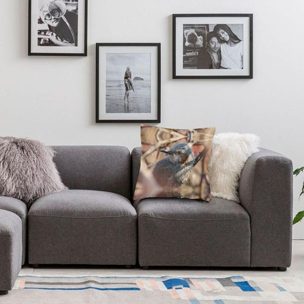 

po-sung-kcjmm7sd4ja-unsplash pillow