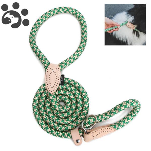 

dog collars & leashes durable nylon retractable leash for small big dogs pet lead rope running walking training accessories