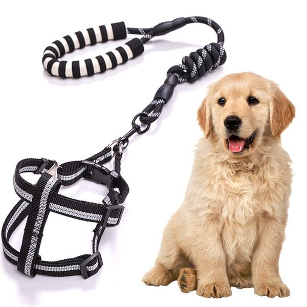 

dog collars & leashes cat harness leash adjustable reflective collar for small outdoor walking chihuahua yorkshire terrier