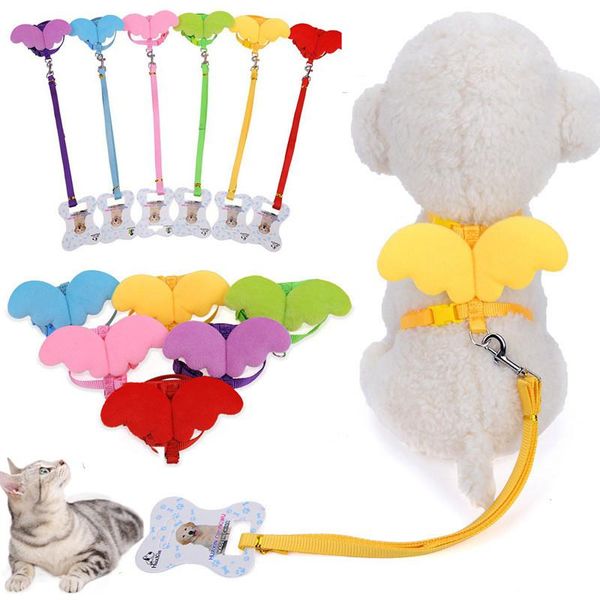 

dog collars & leashes cute angel pet set puppy leads cat harness candy colors wing adjustable straps for small dogs teddy