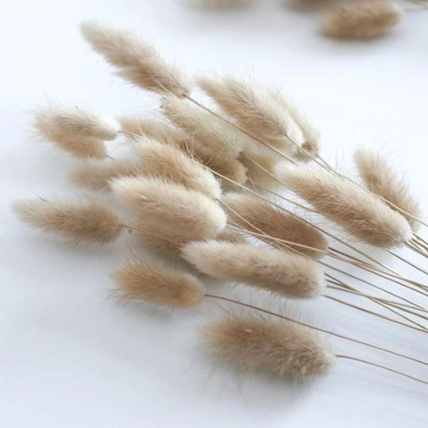 

decorative flowers & wreaths tail grass bunch tails natural dried bouquet flower for home garden party decor arrangement