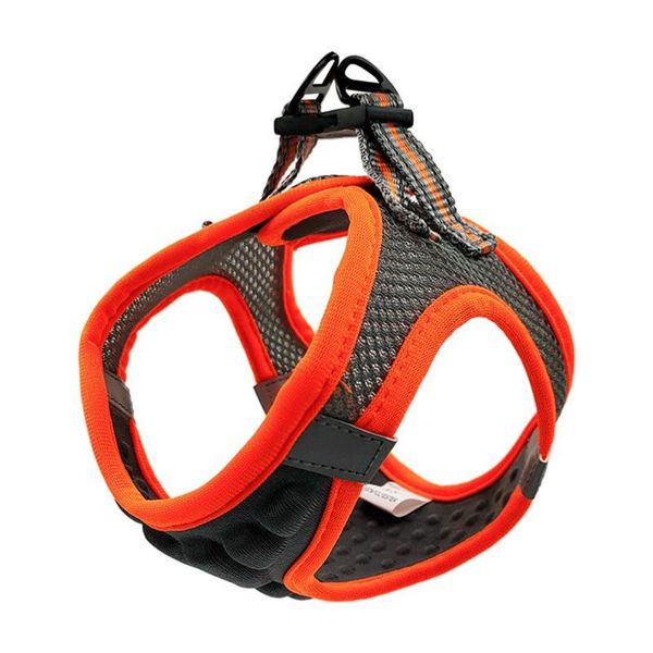 

dog collars & leashes pet 3d chest strap protector traction collar outing three-dimensional design moisture-proof cat and back