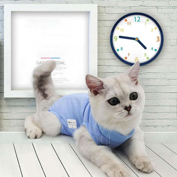

professional cats dogs recovery suit for abdominal wounds protector soft cotton cat costumes