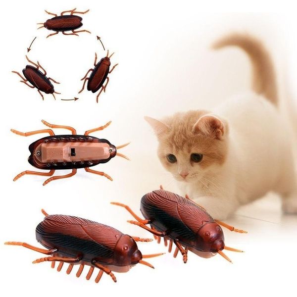 

cat toys ginflash 1pc funny simulation of cockroaches pet dog kitten interactive training play toy tricky