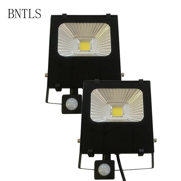 

projection induction lamp 30w 50w floodlights