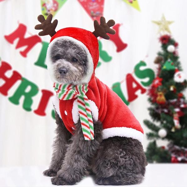 

dog apparel clothes halloween costumes dogs cat hoodies chihuahua winter coat pet clothing small cats christmas