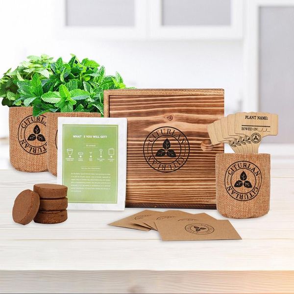 

decorative objects & figurines diy garden decoration european nature bonsai tree kit indoor cultivation tools gardening accessories hom