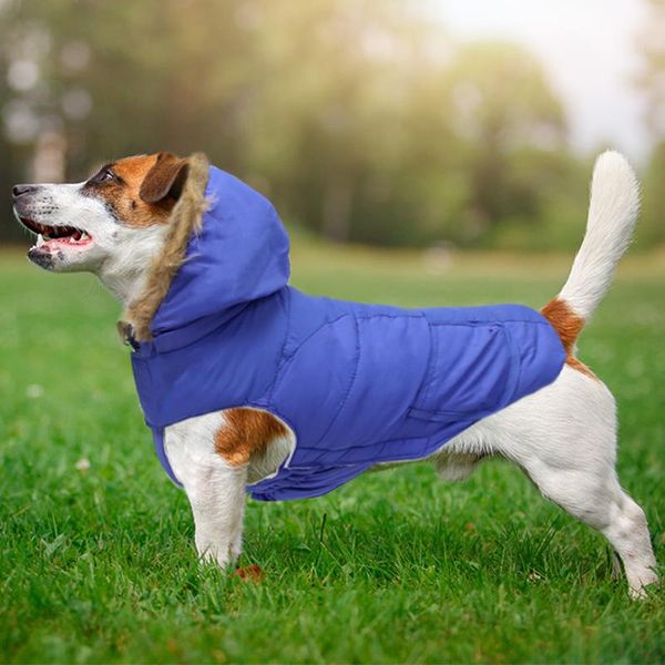

dog apparel style pet cclothes hooded puppy clothes autumn and winter warm cotton