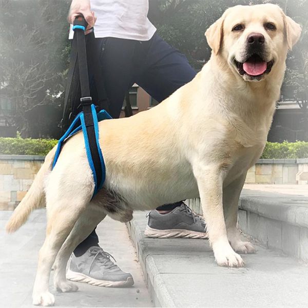 dog apparel adjustable lift harness for back legs pet support sling help weak stand up dogs leash aid assist reliable good tool