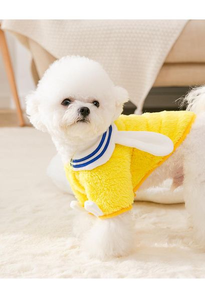 

cat costumes dog coat cute puppy winter pet clothing terriers schnauzer chihuahua yorkshire poodle clothes
