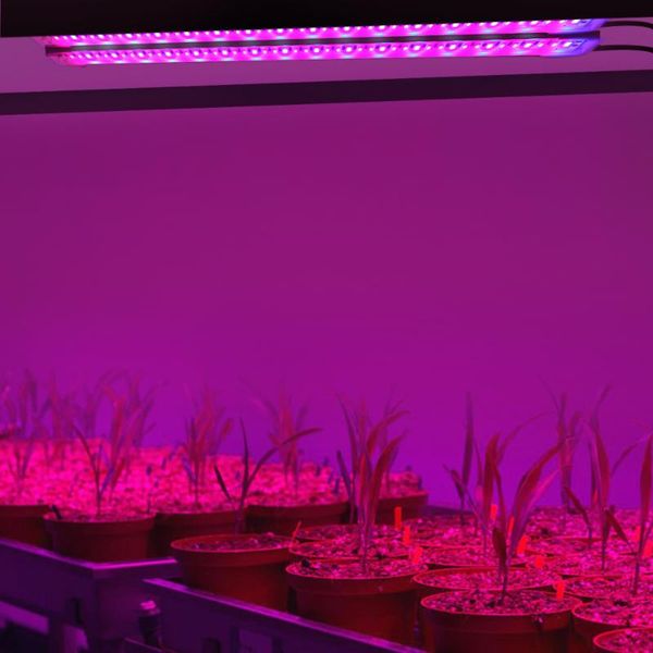 

strips led grow light full spectrum usb strip phyto lamps for plants greenhouse hydroponic growing