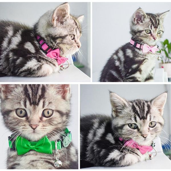 

cat collars & leads collar bow buckle with bell for kitten tie safety