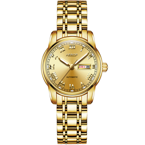 

wristwatches aesop gold luxury women japan movement mechanical automatic watch ladies stainless steel golden female clock relogios feminino, Slivery;brown