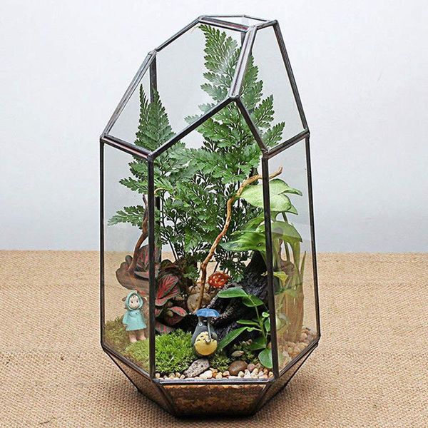 

planters & pots house greenhouse hexagonal glass vase for fee garden miniature mini landscape