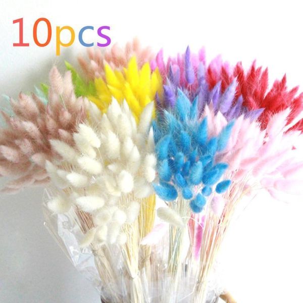 

decorative flowers & wreaths 10pcs tail grass dried for wedding party diy craft scrapbook bouquet
