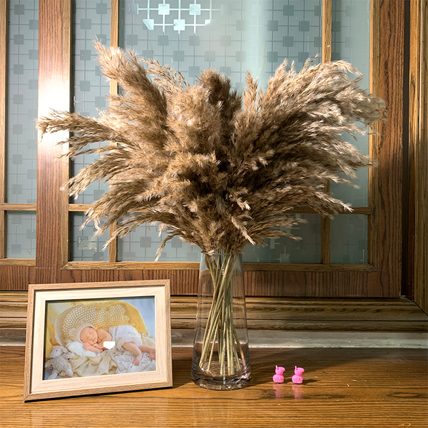 

coor dried pampas grass bouquet wedding fower bunch natura pants home decor