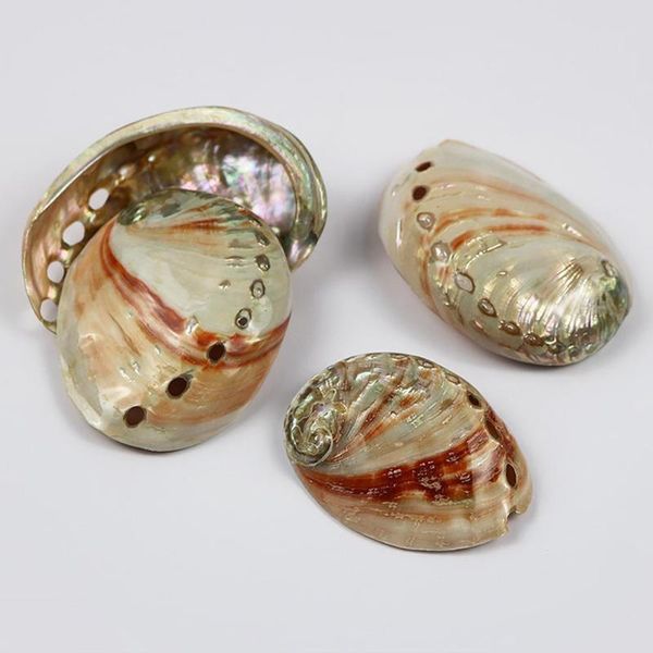 

novelty items natural safflower abalone shell fish tank landscaping aquarium conch decoration props shooting x4t8