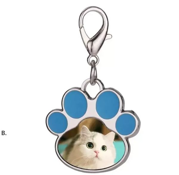 4 Farben Sublimation Blanko Schlüsselanhänger Anhänger Halsbänder Kreative Katze Pfotenform Schlüsselanhänger Wärmeübertragung Schlüsselanhänger DIY Haustier Schlüsselanhänger WHT0228