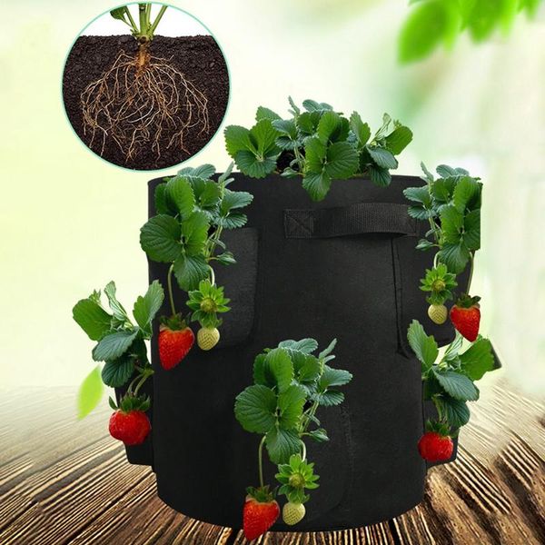 

5/10 gallons strawberry grow bag felt planting flower pot vegetable growing pots fabric living planter seedling breeding planters &