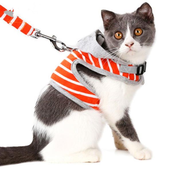 

pet cat leash small chest harness hooded vest go out puppy supplies collars & leads
