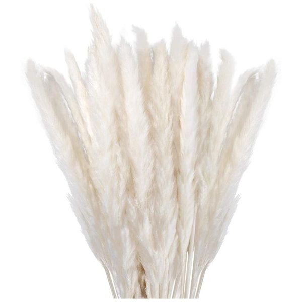 

decorative flowers & wreaths dried pampas grass decor small fluffy 30 pcs, 45cm natural white for vase, flower bouquet arrangement