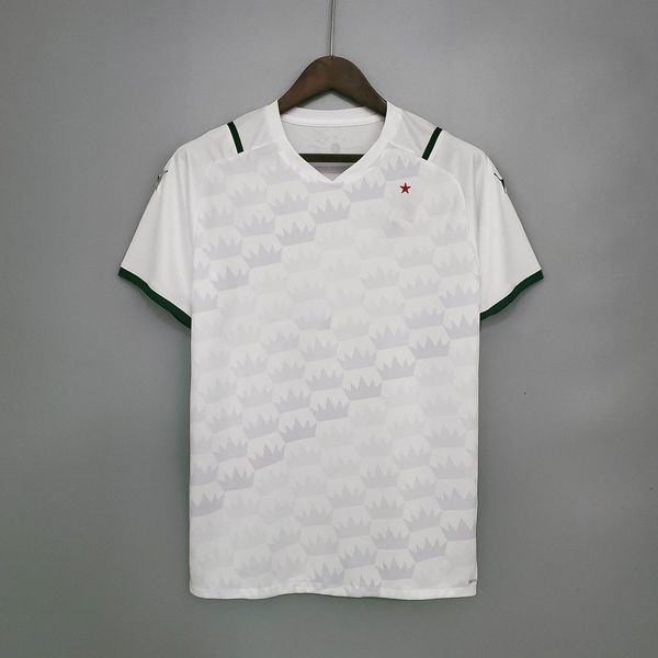 

camisa de futebol palmeiras ii 2021 men's tracksuits, Gray