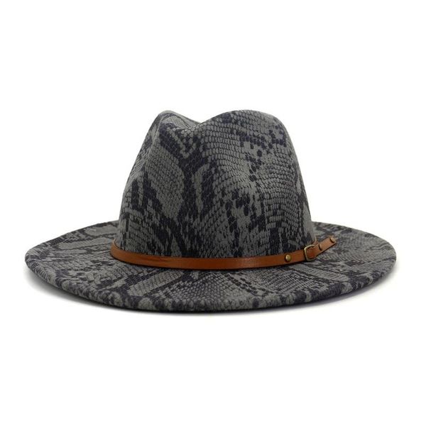 

wide brim hats snake pattern fedora hat men women artificial wool blend simple winter brown leather belt decoration felt, Blue;gray
