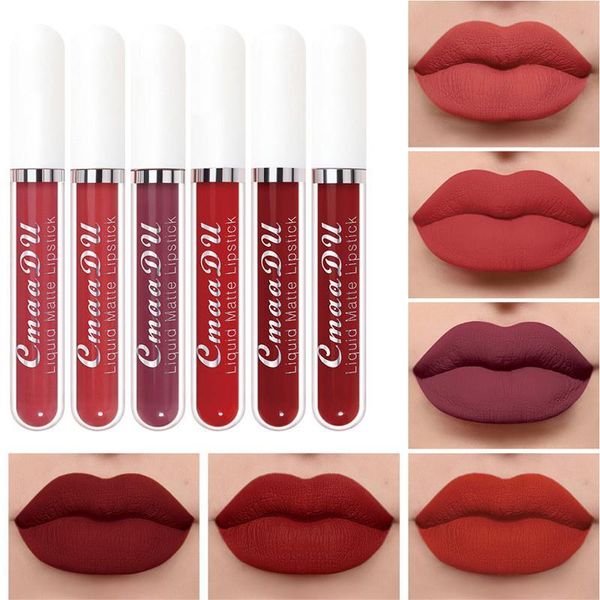 

lip gloss multiple colors six ingredients velvet surface anti decolorize stick cup